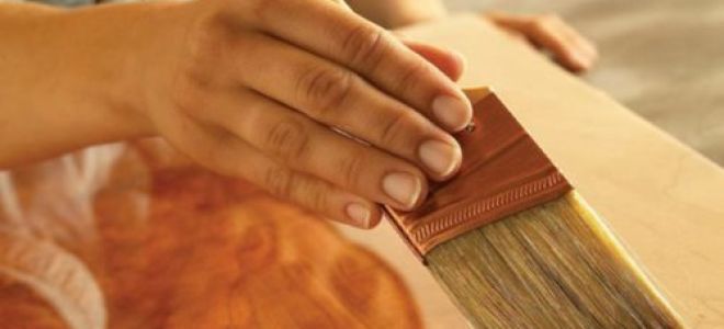 Лакирование деревянной поверхности — долговечность и надежность